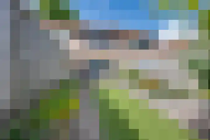 Scholverbos 24 Rijen thumbnail 41