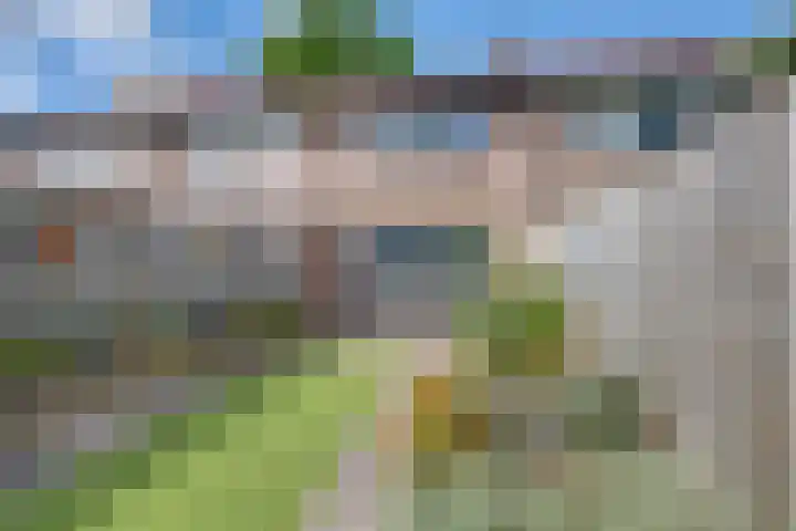 Scholverbos 24 Rijen thumbnail 42