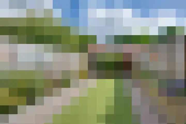 Scholverbos 24 Rijen thumbnail 44