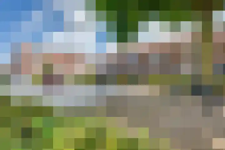 Scholverbos 24 Rijen thumbnail 46
