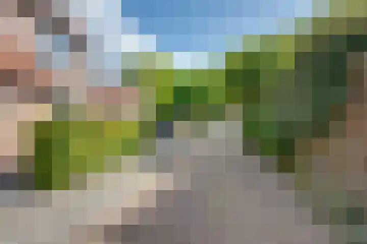 Scholverbos 24 Rijen thumbnail 47
