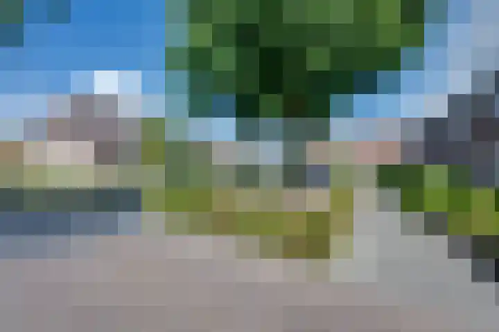 Scholverbos 24 Rijen thumbnail 48