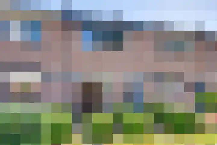 Scholverbos 24 Rijen thumbnail 5