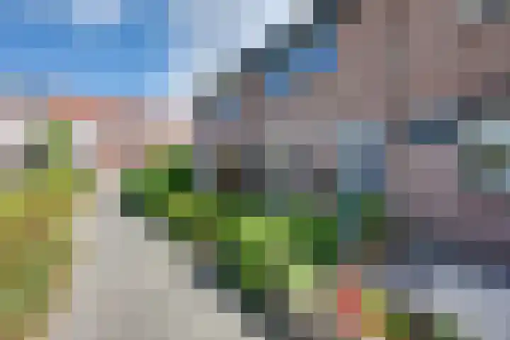 Scholverbos 24 Rijen thumbnail 6
