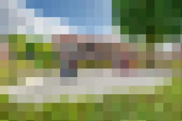 Scholverbos 24 Rijen thumbnail 7
