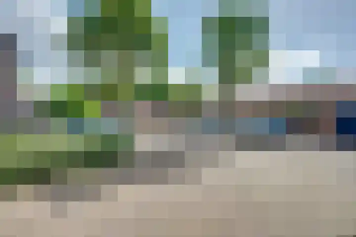 Scholverbos 24 Rijen thumbnail 8