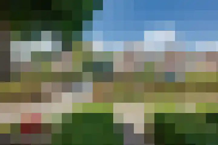 Scholverbos 24 Rijen thumbnail 9