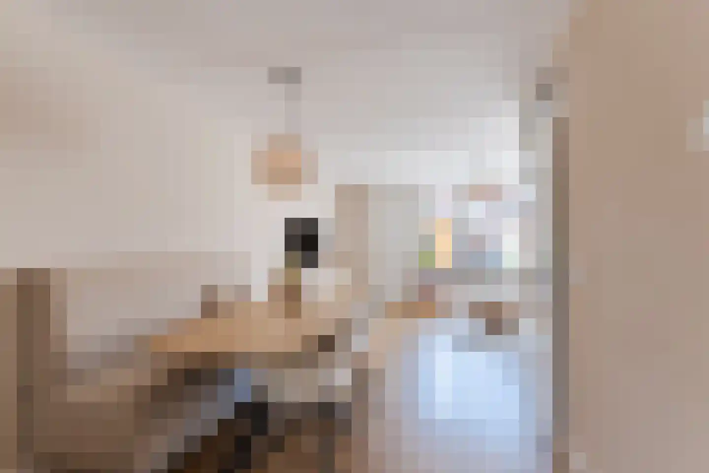 Scholverbos 4 Rijen thumbnail 10