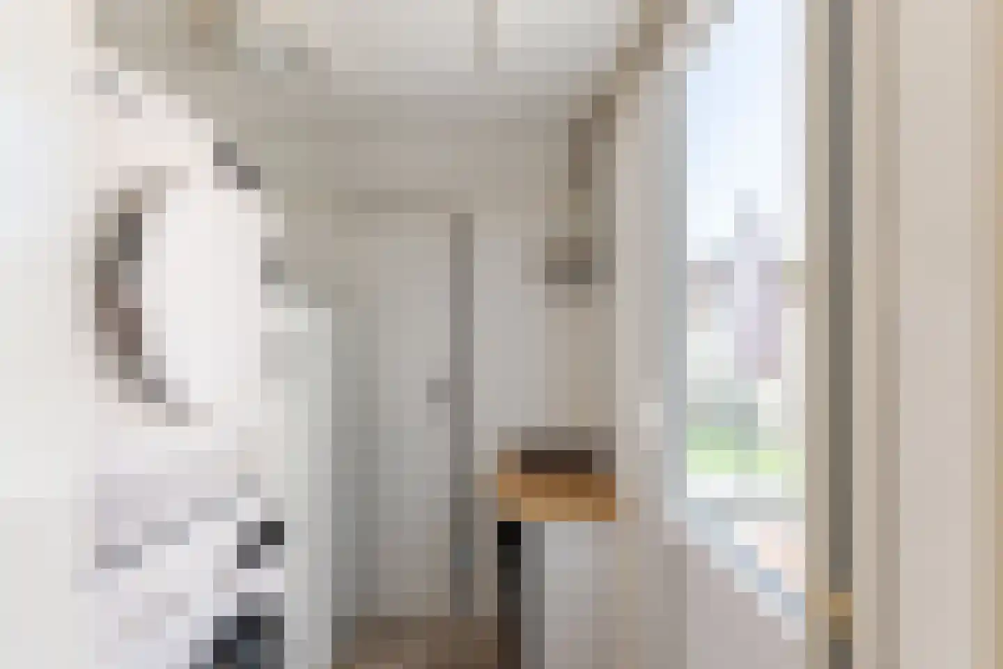 Scholverbos 4 Rijen thumbnail 15