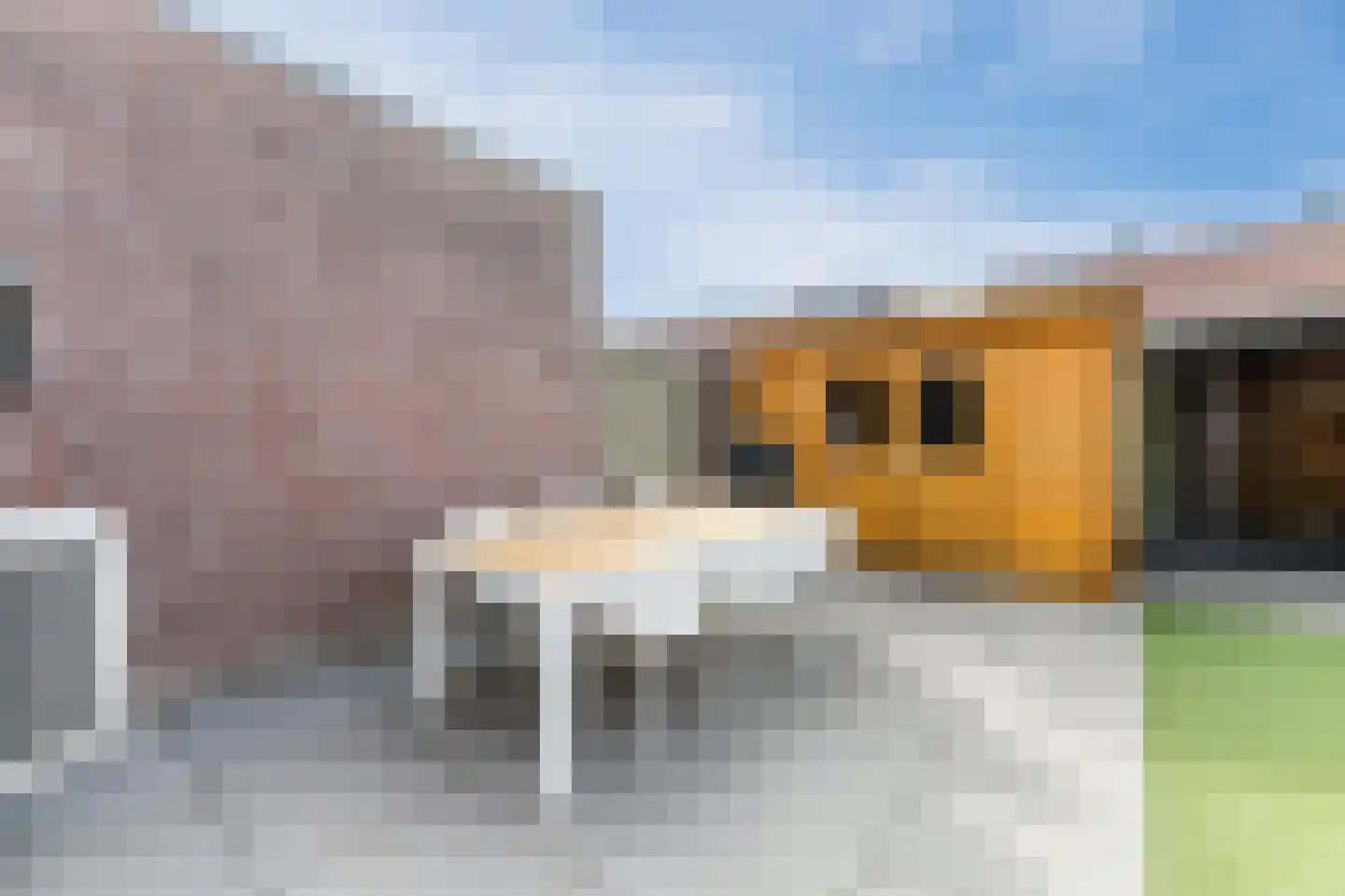 Scholverbos 4 Rijen thumbnail 16