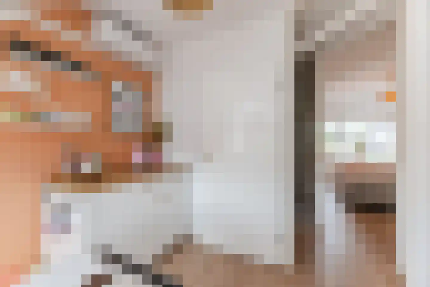Scholverbos 4 Rijen thumbnail 24