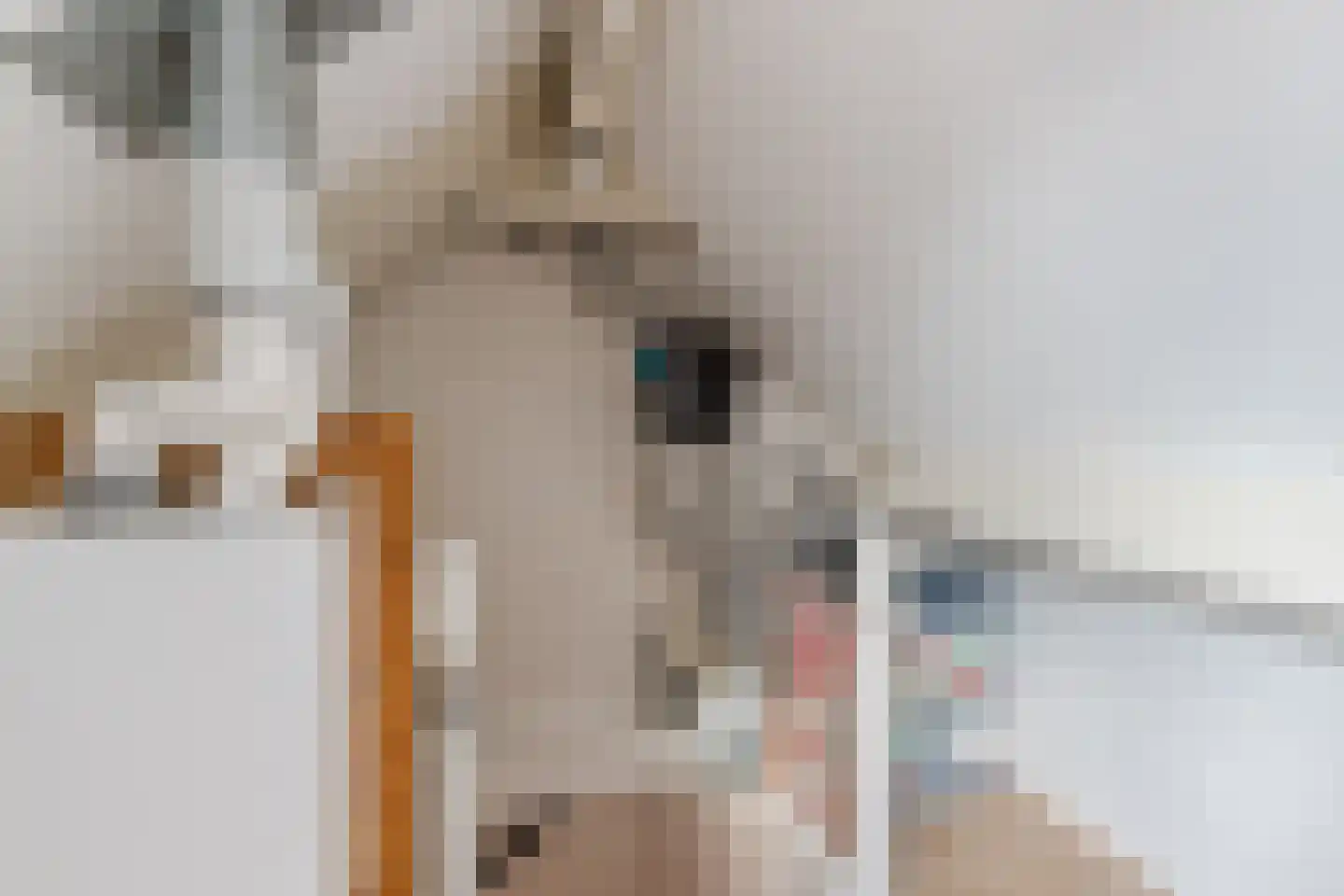 Scholverbos 4 Rijen thumbnail 31