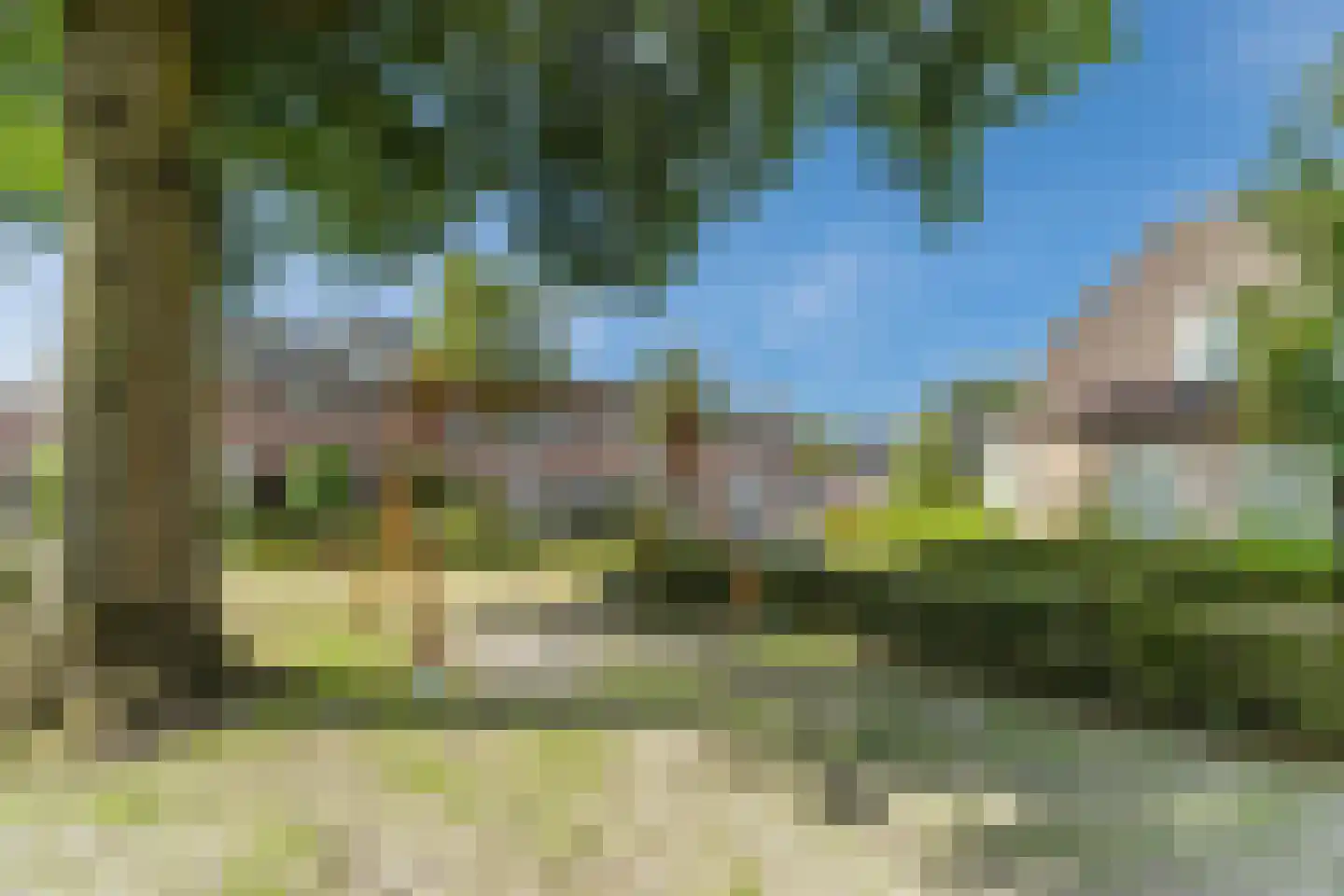 Scholverbos 4 Rijen thumbnail 33