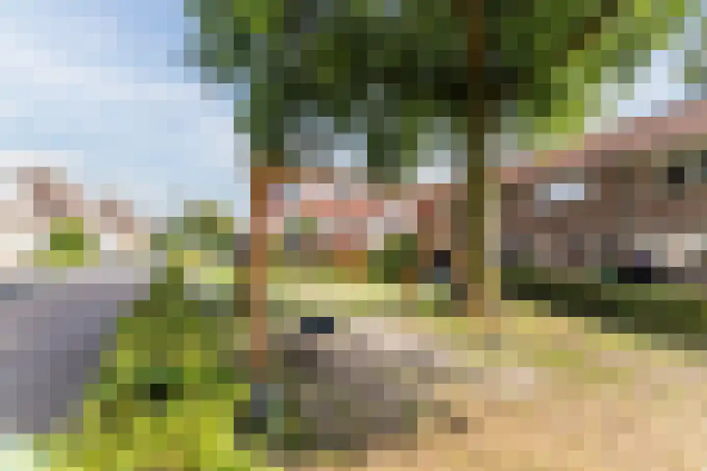Scholverbos 4 Rijen thumbnail 34