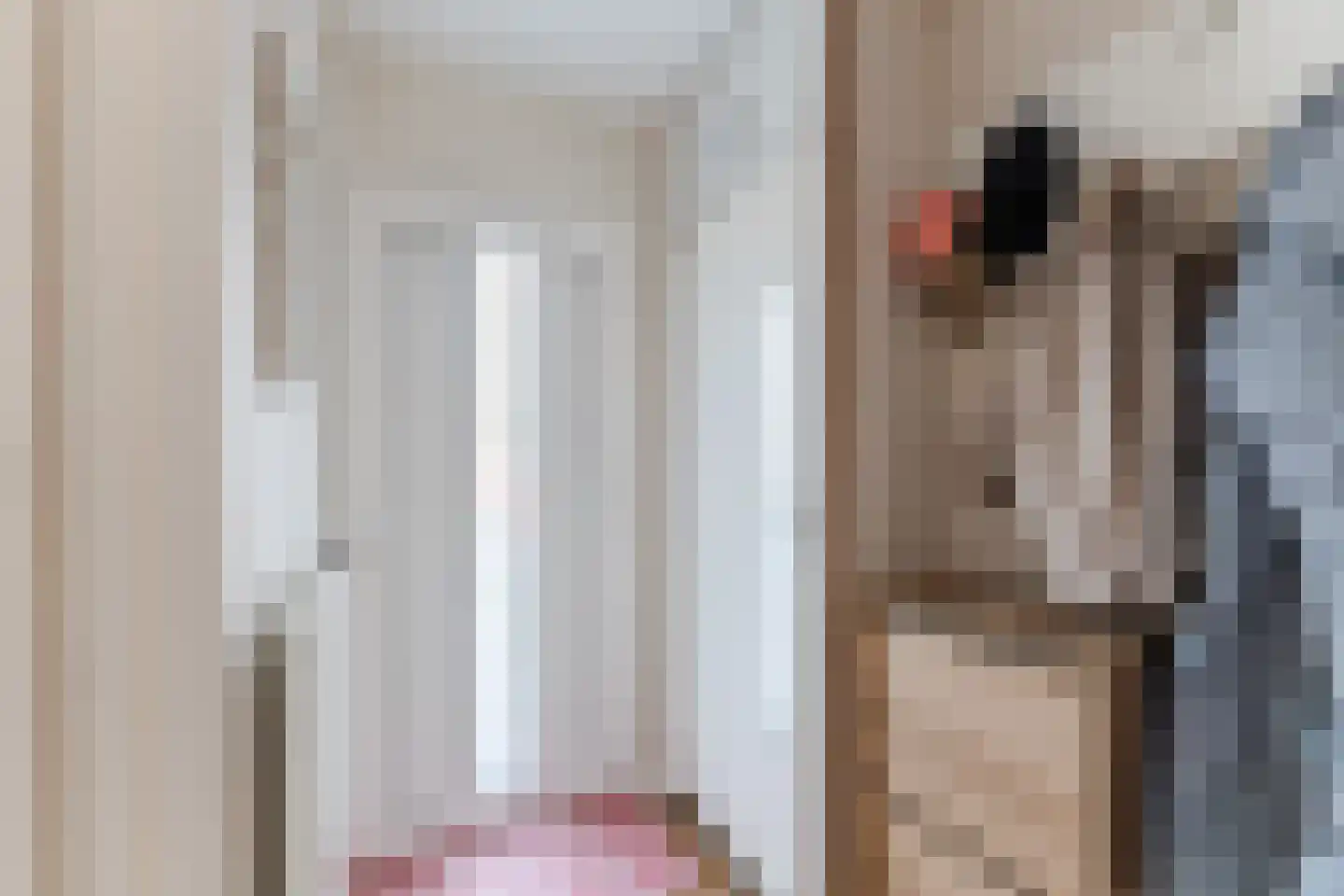 Scholverbos 4 Rijen thumbnail 5
