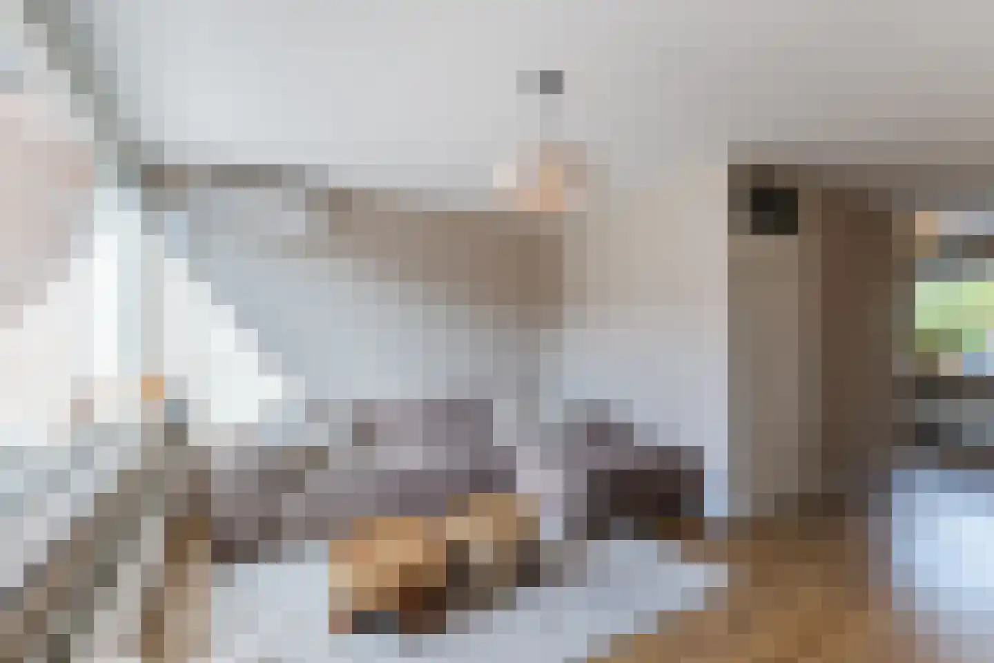 Scholverbos 4 Rijen thumbnail 7