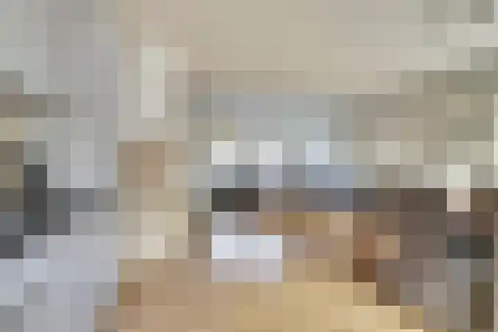 Scholverbos 42 Rijen thumbnail 15