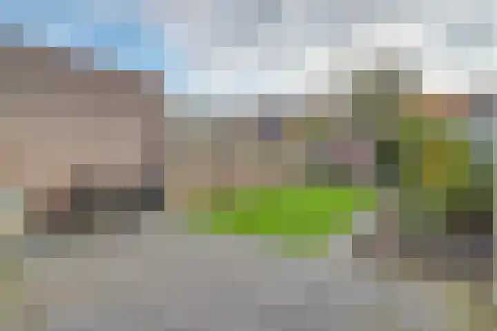 Scholverbos 42 Rijen thumbnail 30