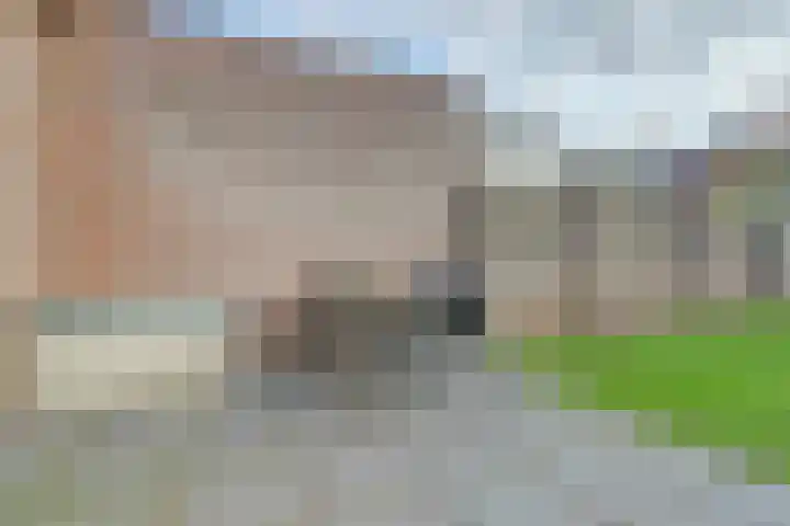 Scholverbos 42 Rijen thumbnail 31