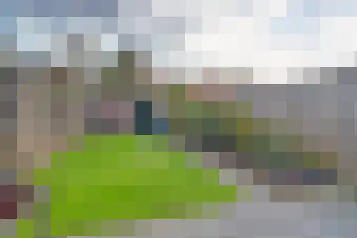 Scholverbos 42 Rijen thumbnail 32