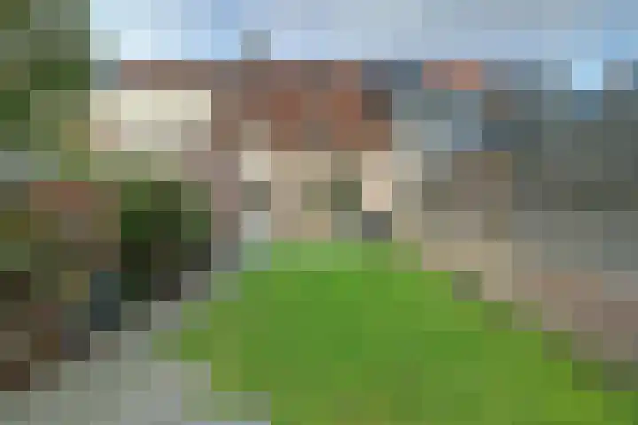 Scholverbos 42 Rijen thumbnail 33