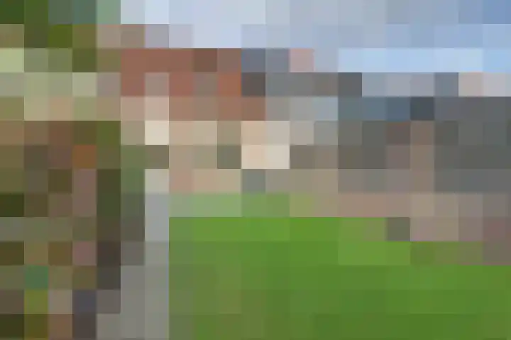 Scholverbos 42 Rijen thumbnail 34