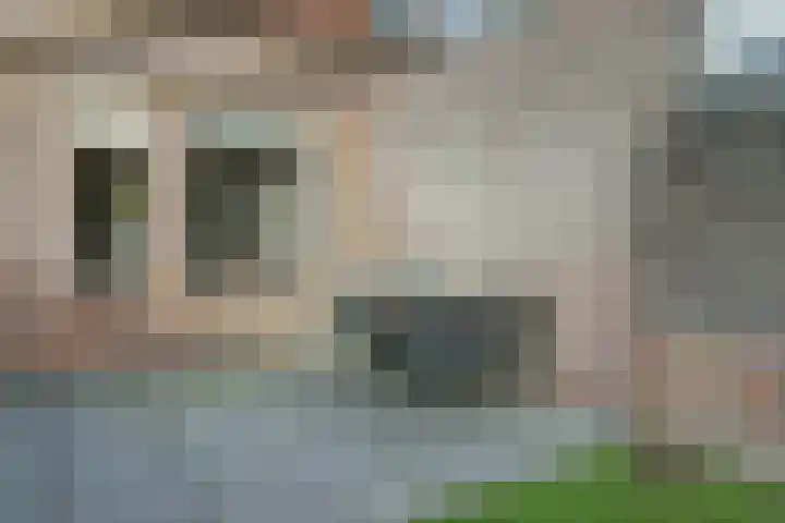 Scholverbos 42 Rijen thumbnail 35