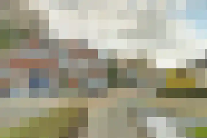Scholverbos 42 Rijen thumbnail 36