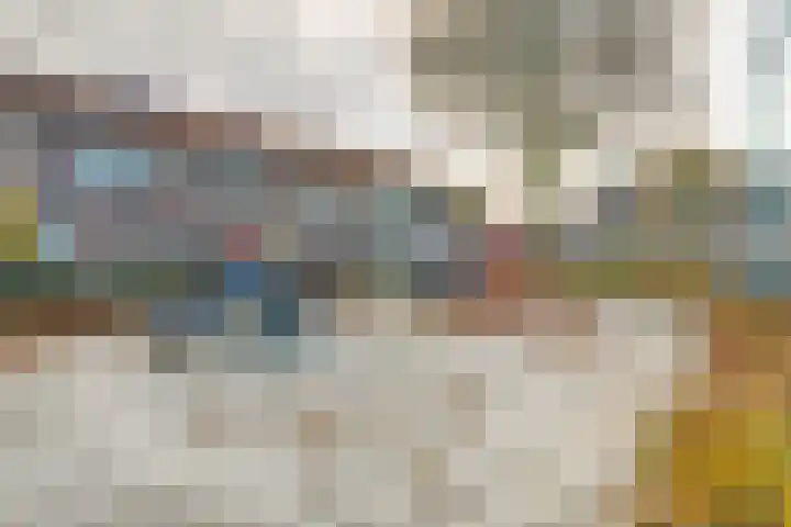 Scholverbos 42 Rijen thumbnail 37