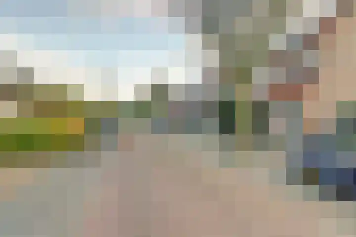 Scholverbos 42 Rijen thumbnail 4
