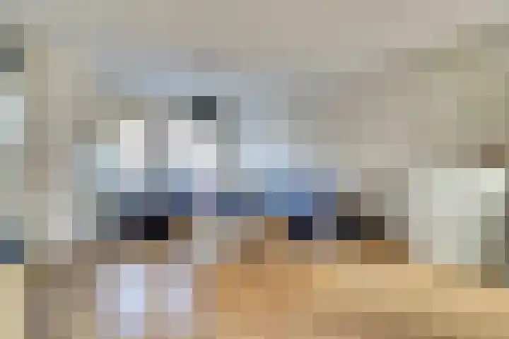 Scholverbos 42 Rijen thumbnail 6