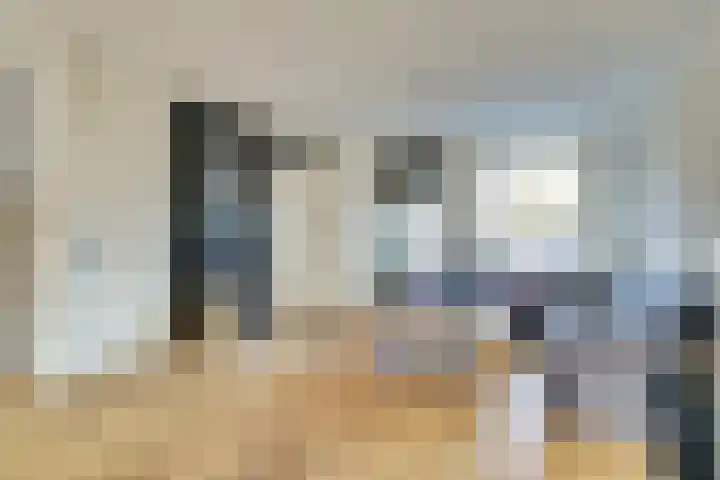 Scholverbos 42 Rijen thumbnail 7