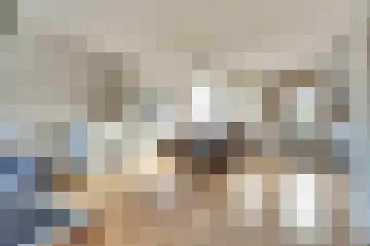 Scholverbos 42 Rijen thumbnail 8