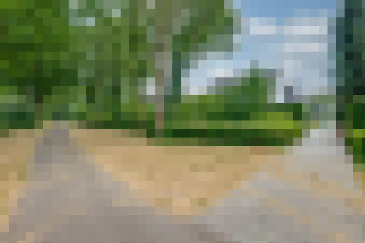 Scholverbos 49 Rijen thumbnail 10