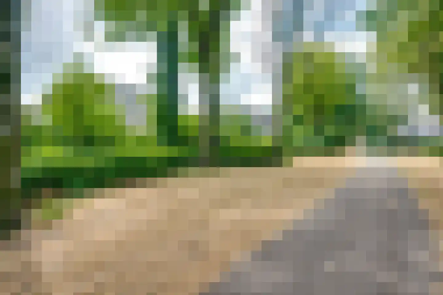Scholverbos 49 Rijen thumbnail 11