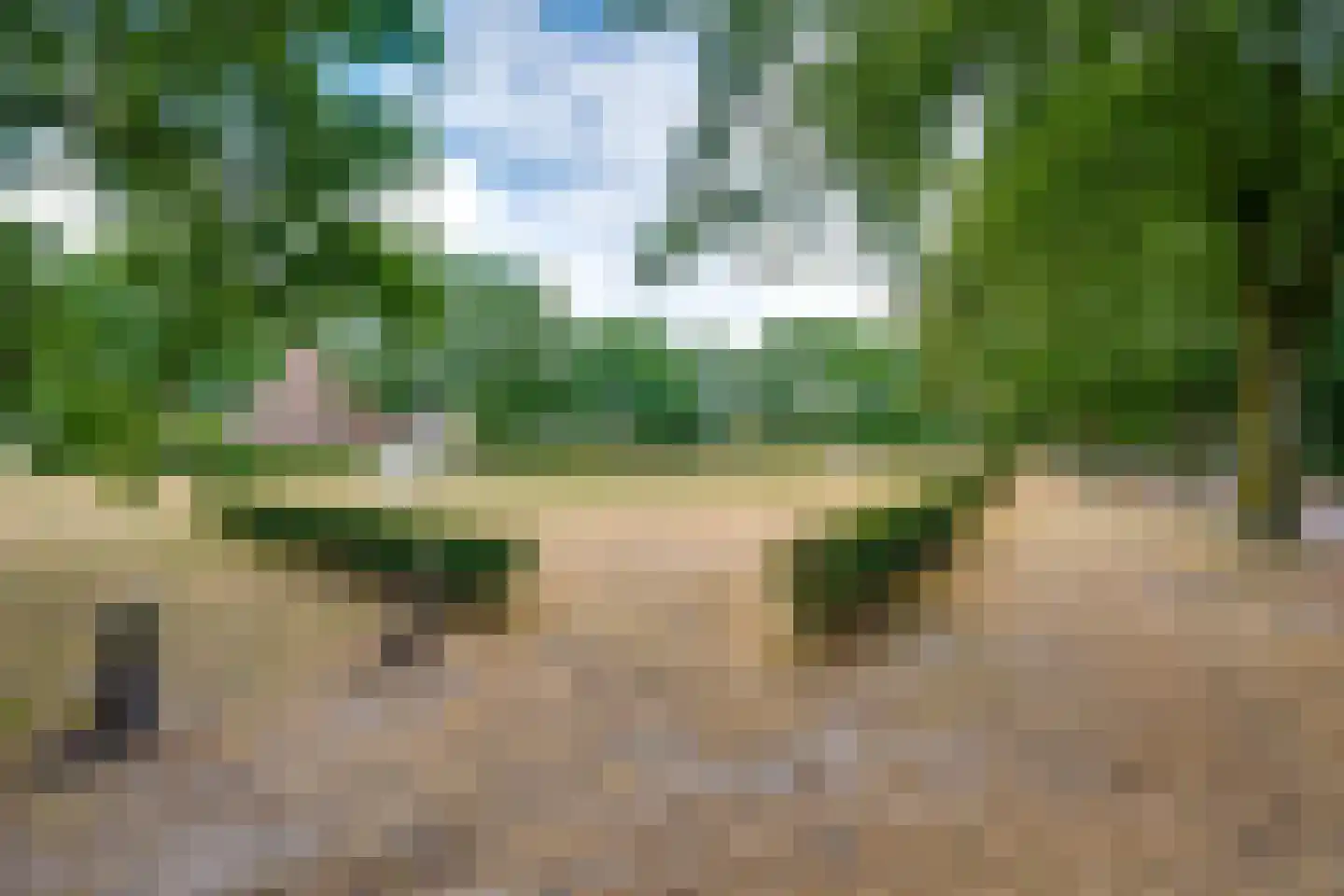 Scholverbos 49 Rijen thumbnail 12