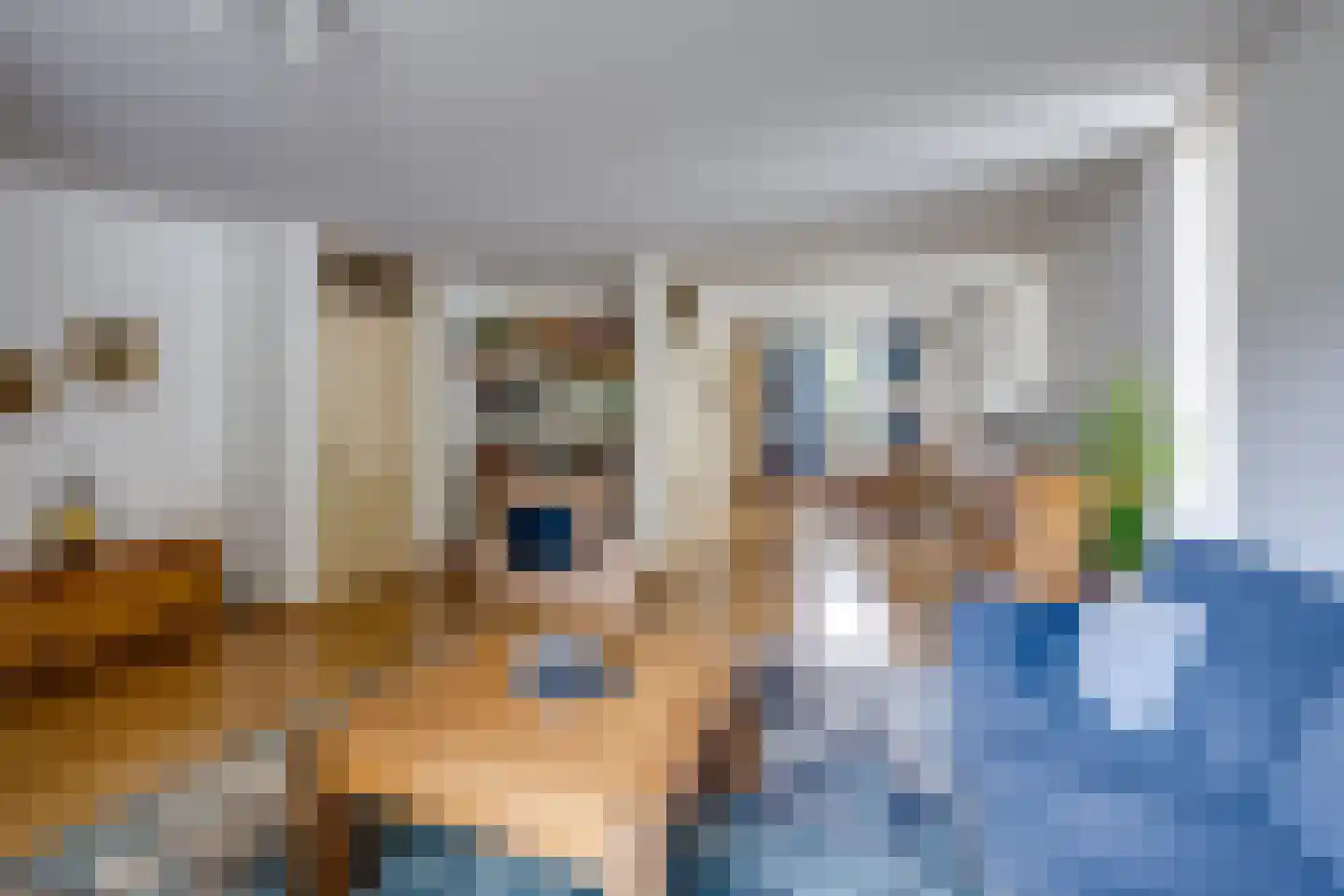 Scholverbos 49 Rijen thumbnail 18