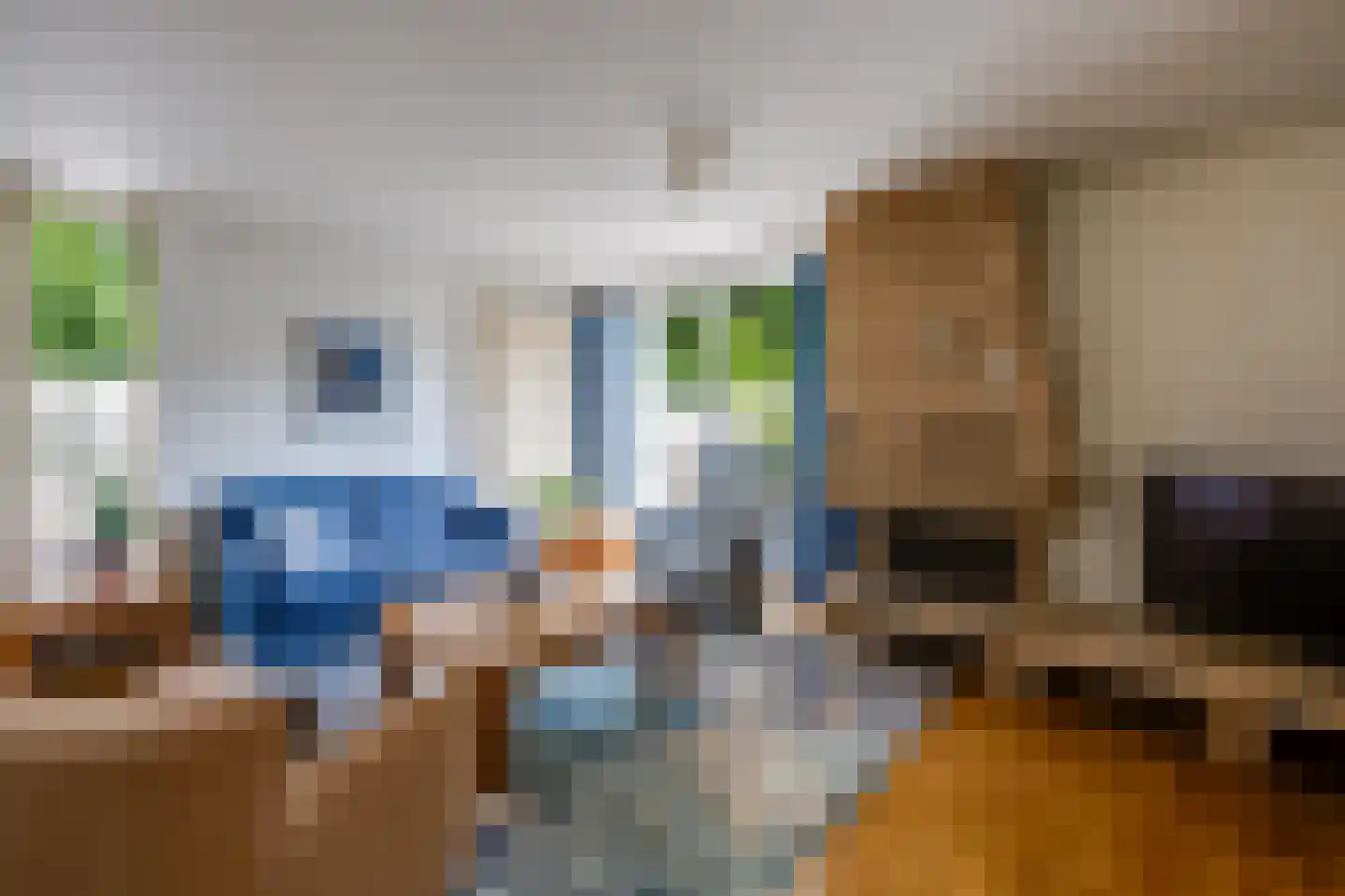 Scholverbos 49 Rijen thumbnail 20