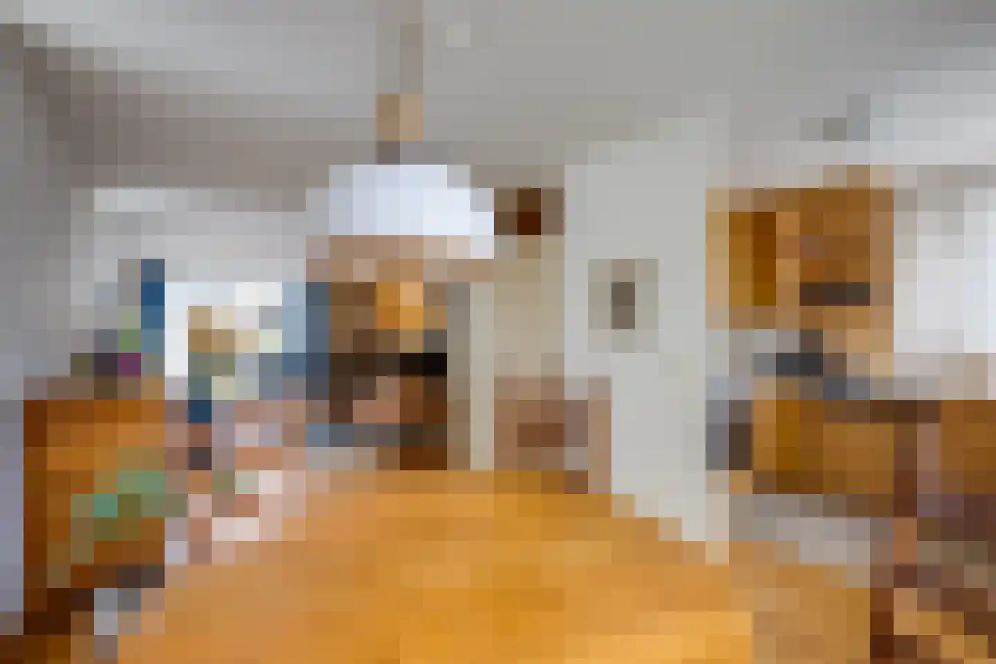 Scholverbos 49 Rijen thumbnail 24