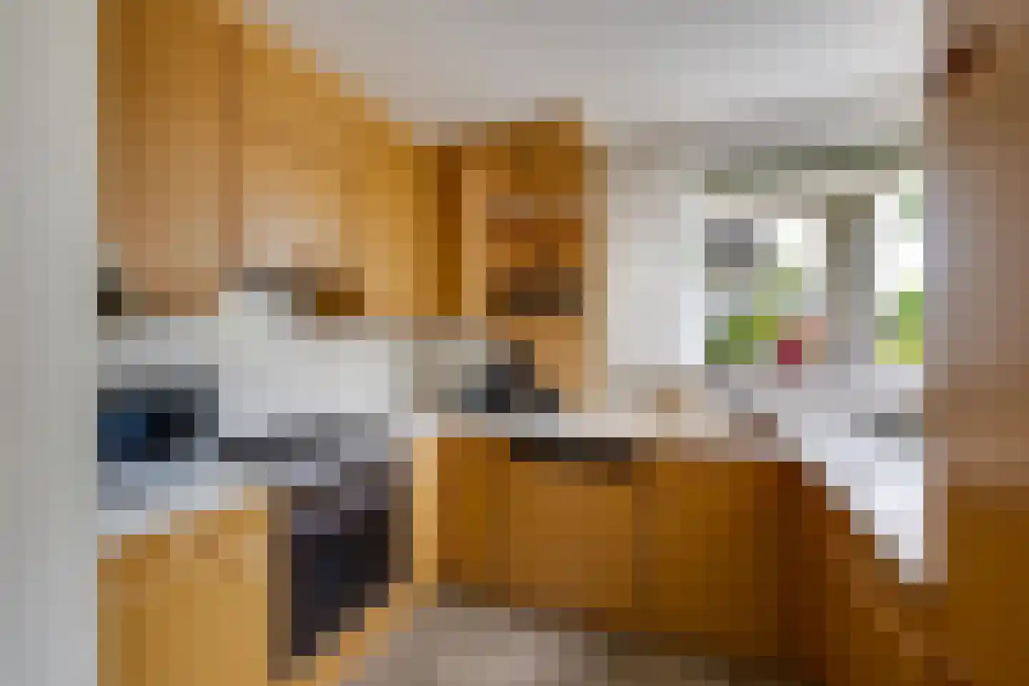 Scholverbos 49 Rijen thumbnail 25