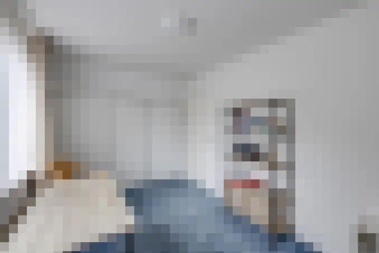 Scholverbos 49 Rijen thumbnail 41
