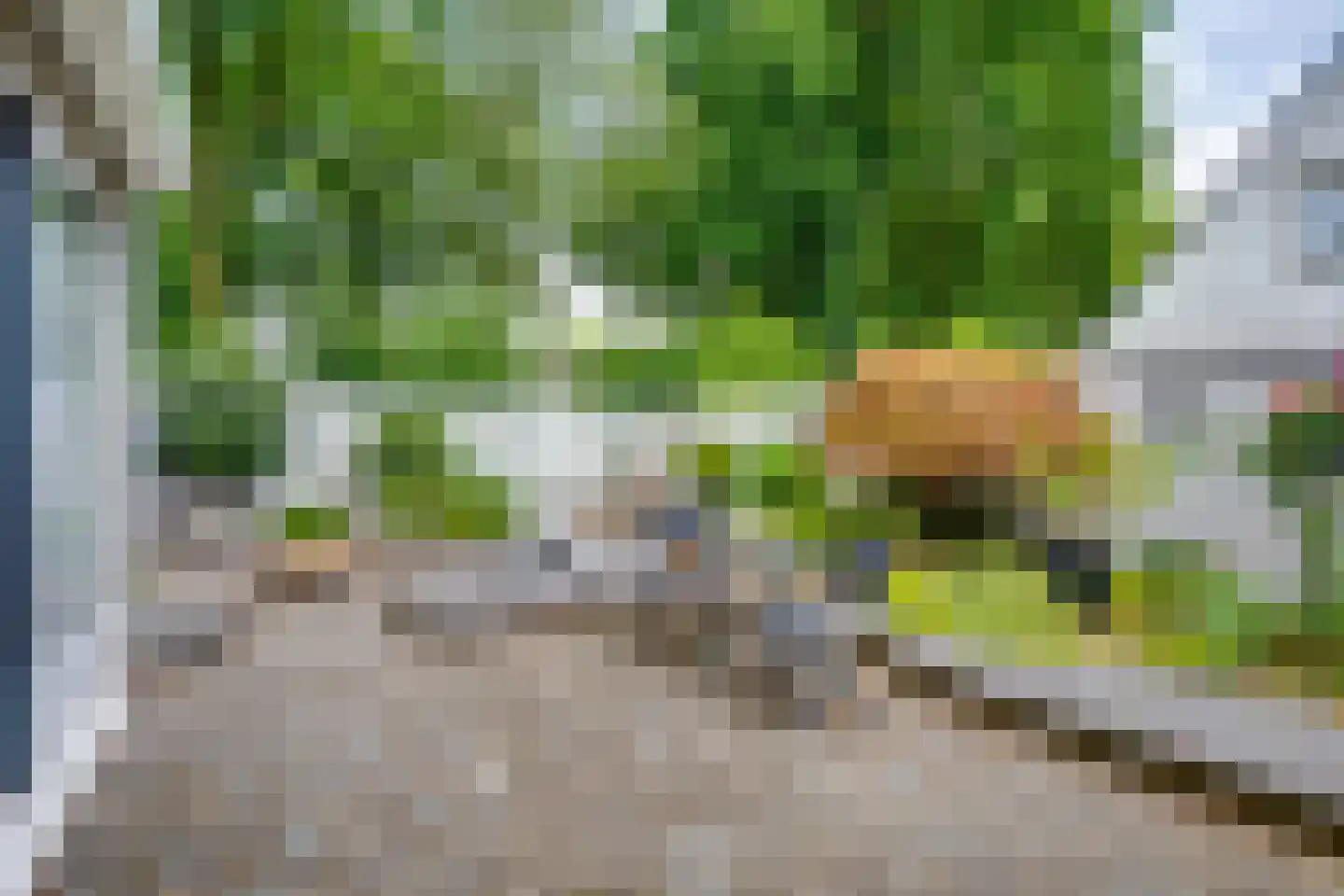 Scholverbos 49 Rijen thumbnail 51