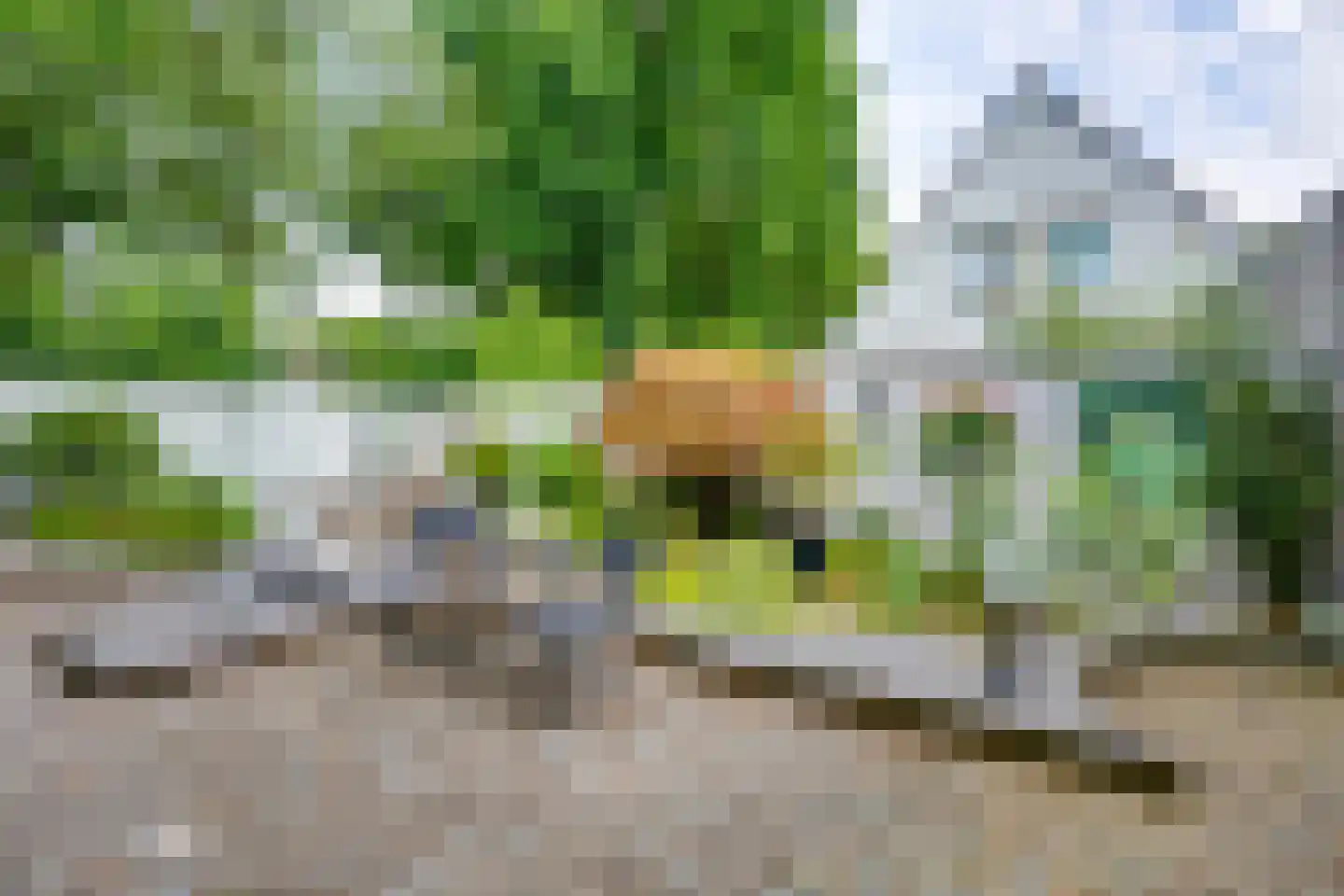 Scholverbos 49 Rijen thumbnail 52