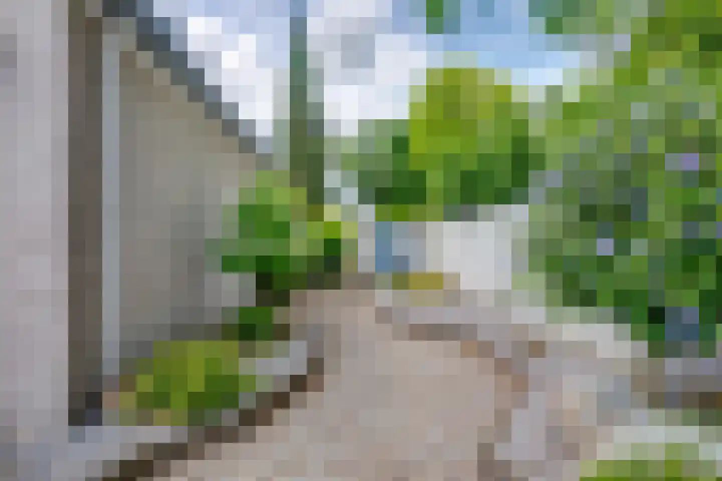 Scholverbos 49 Rijen thumbnail 55