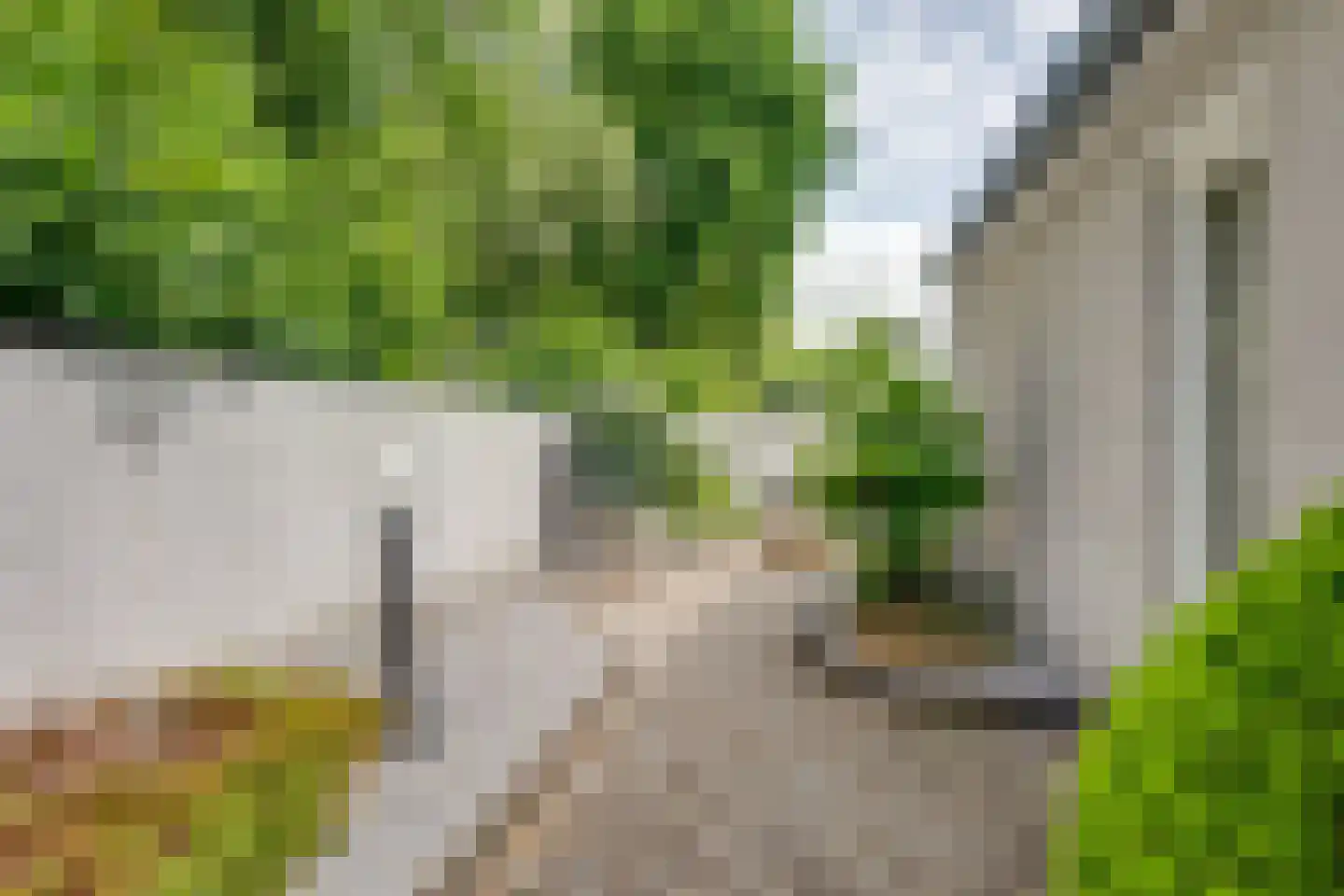 Scholverbos 49 Rijen thumbnail 56