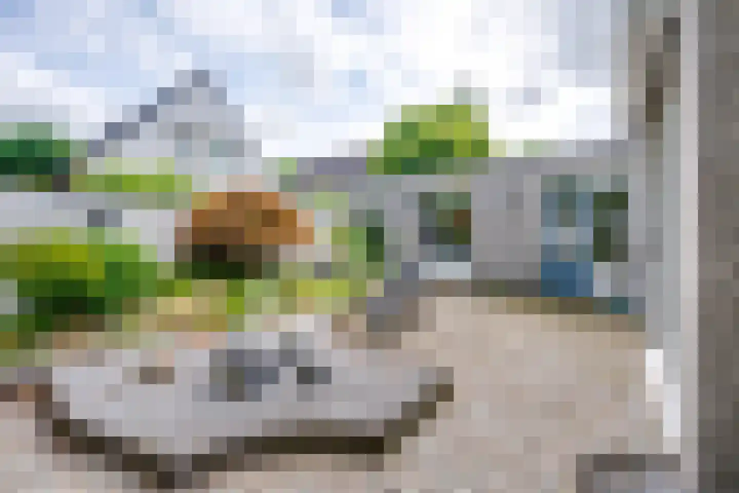 Scholverbos 49 Rijen thumbnail 58