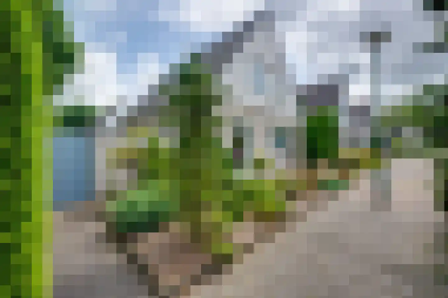 Scholverbos 49 Rijen thumbnail 7