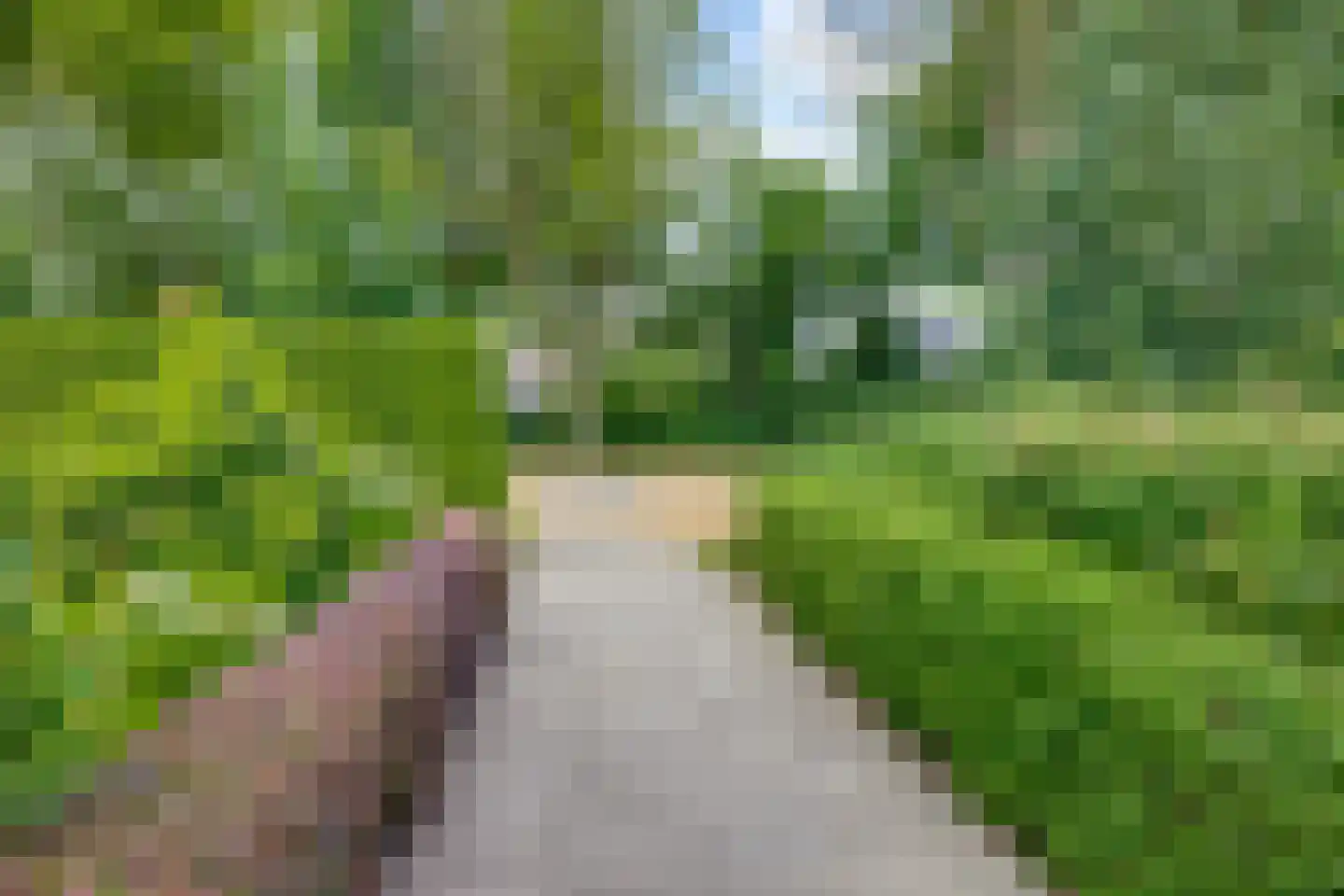 Scholverbos 49 Rijen thumbnail 9