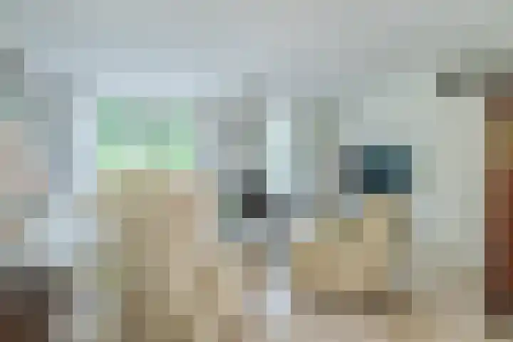 Scholverbos 61 Rijen thumbnail 12
