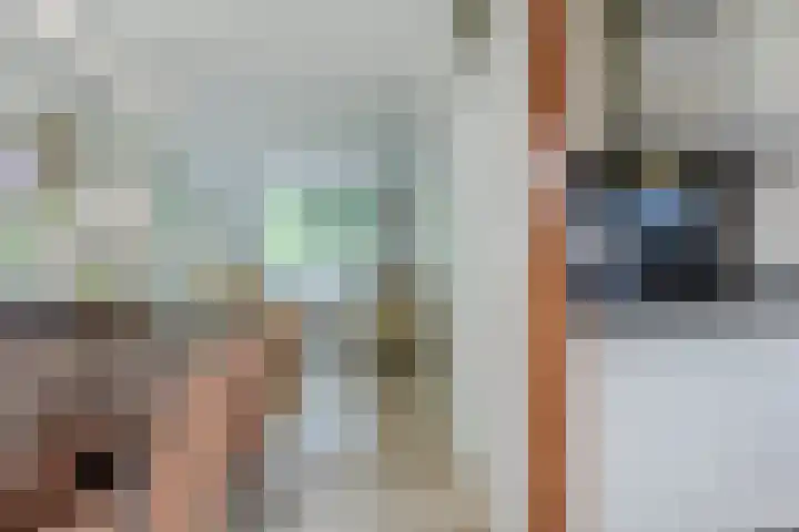 Scholverbos 61 Rijen thumbnail 15